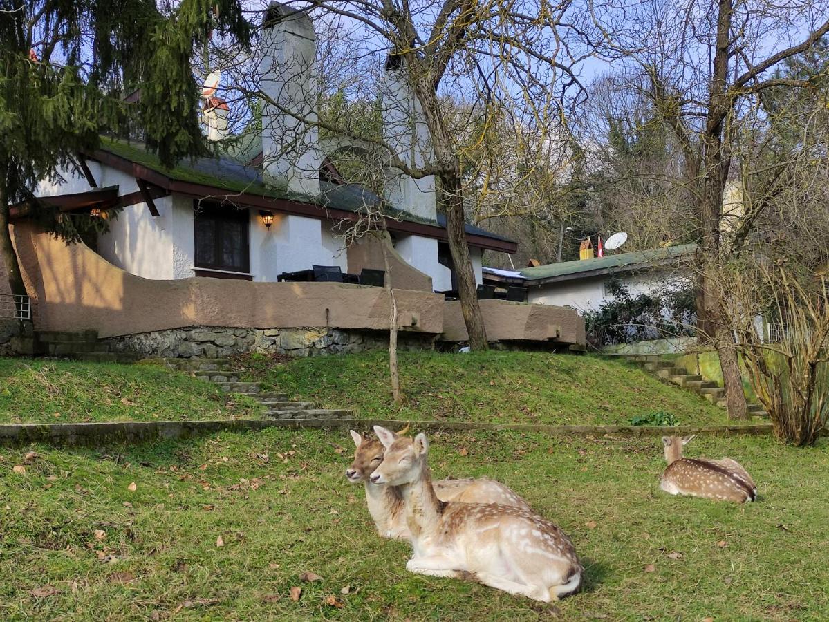 Hotel Polonezköy Country Club Stambuł Zewnętrze zdjęcie