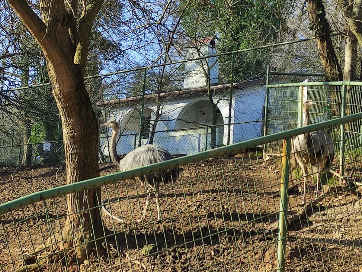 Hotel Polonezköy Country Club Stambuł Zewnętrze zdjęcie