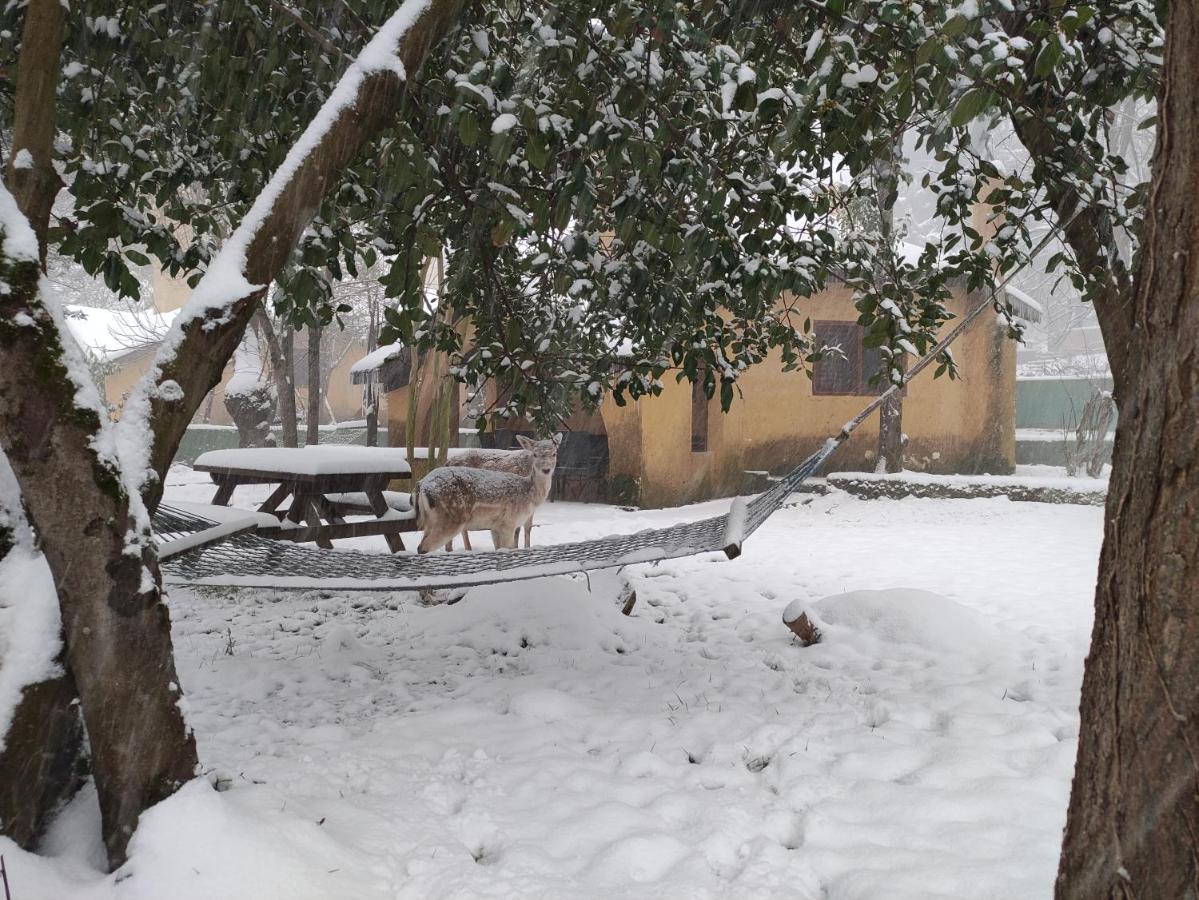 Hotel Polonezköy Country Club Stambuł Zewnętrze zdjęcie